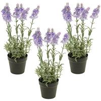 Set van 3x stuks lila paarse lavendel Lavandula kunstplanten in kunststof pot 28 cm -