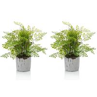 Emerald Set van 2x stuks groene kunstplanten varen 30 cm -
