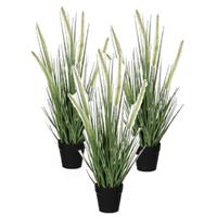 Mica Decorations 3x stuks groene Dogtail/siergras kunstplant 53 cm in zwarte pot -