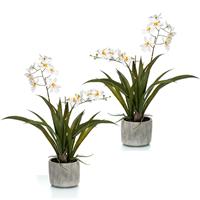 Set van 2x stuks witte orchidee Orchidaceae kunstplanten in keramische pot 45 cm -