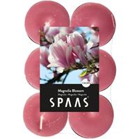 Candles By Spaas 48x Geurtheelichtjes Magnolia Blossom 4,5 branduren - Geurkaarsen magnolia bloesem geur - Waxinelichtjes