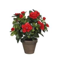 Mica Decorations Kunstplant - Azalea - Rode Bloemen - 27 Cm