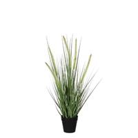 Mica Decorations Dogtail Gras Kunstplant - H53 x Ø30 cm - Groen