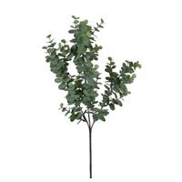 Mica Decorations Eucalyptus kunstbloemen takken 65 cm decoratie - Kunstbloemen