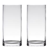 Bellatio Set van 2x stuks Transparant