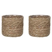 Mica Decorations 2x stuks naturel Bruin