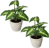 Creativ green Kunst-potplanten Blattpflanze Syngonium in een cementpot, set van 2 (2 stuks)