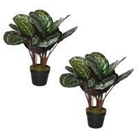 Decoris 2x stuks kunst Calathea 47 cm -