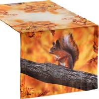 Erwin Müller Tischläufer Eichhörnchen mehrfarbig Gr. 150 x 150