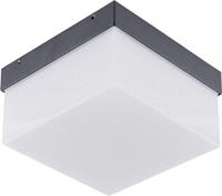 EVN WAQ54091502 LED-Außenwandleuchte 9W Warmweiß Anthrazit