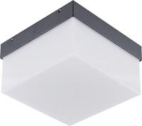 EVN WAQ54091540 LED-Außenwandleuchte 9W Neutralweiß Anthrazit
