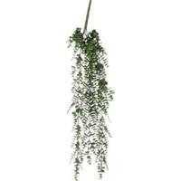 Mica Decorations Eucalyptus Kunst Hangplant - H93 cm - Groen