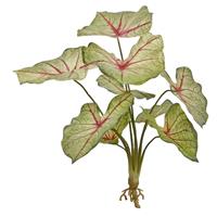 Caladium white queen kunstplant 45cm