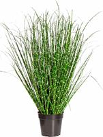 Creativ green Kunstgras Miscanthus Zebrinus