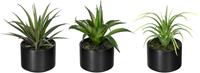 Creativ green Kunst-potplanten Set van aloë, agave en tillandsia in keramische pot, set van 3