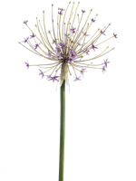Fleur.nl Allium Lilac - kunstplant
