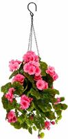 Hanggeranium Roze