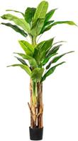 Bananenplant, in een kunststof pot met aarde, hoogte ca. 1800 mm