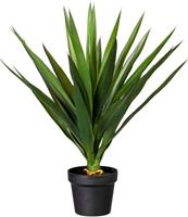 Creativ green Künstliche Zimmerpflanze »Yucca« Yucca, , Höhe 70 cm