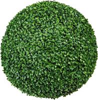 Bolbuxus op stam, UV-bestendig, Ø 480 mm