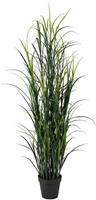 Creativ green Kunstgras »Kunststoffgras« Gras, , Höhe 180 cm