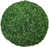 Bolbuxus op stam, UV-bestendig, Ø 530 mm