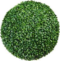 Bolbuxus op stam, UV-bestendig, Ø 380 mm