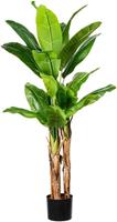Bananenplant, in een kunststof pot met aarde, hoogte ca. 1500 mm