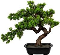 Bonsai mirte, h x b = 400 x 400 mm, in een kunststof schaal
