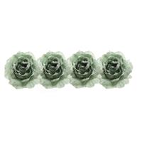 4x Salie Groen