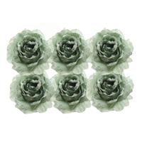 6x Salie Groen
