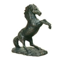 Countrylifestyle Steigerend paard middel