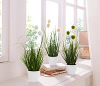 Creativ green Kunstgras Grasmix (set)