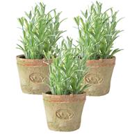 True to Nature 3x stuks kunstplanten rozemarijn kruiden in terracotta pot 16 cm -