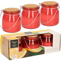 Decoris Set Van 6x Stuks Anti Muggen Citronella Kaars In Rood Glazen Potje - Geurkaarsen