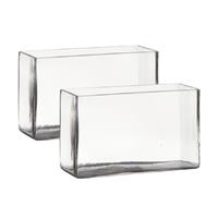 Hakbijl Glass Set van 2x stuks transparante rechthoek accubak vaas/vazen van glas 25 x 10 x 15 cm - Bloemstukje/terrarium vaas