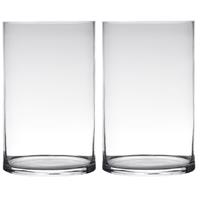Bellatio Set van 2x stuks transparante home-basics Cylinder vorm vaas/vazen van glas 30 x 19 cm - Bloemenvaas voor binnen gebruik