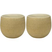 Steege Set van 2x stuks plantenpotten/bloempotten in een strakke Modern design look zand kleur Dia 15 cm en Hoogte 13 cm