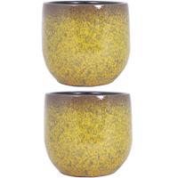 Floran 2x stuks keramiek aardewerk bloempot van H17 x D19 cm in het een goud Geel