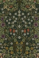 Morris & Co - Blackthorn-Tump outdoor 428507 - 200x280 cm Vloerkleed