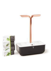 Veritable Indoor Garden SMART Copper Zwart, Koper 330 mm 230 V 2 l In hoogte verstelbaar, Waterpeilalarm 1 stuk(s)