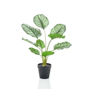 PrettyPlants Calathea Kunstplant 45cm