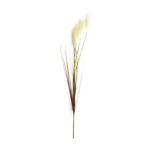 Dijk natural collections Pluim 78x10x3cm beige