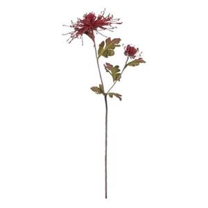 Leen Bakker Chrysanthemum spray - bordeaux - 75 cm