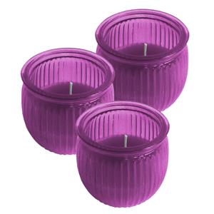 3x stuks citronella kaars 7,5 cm paars - 10 branduren