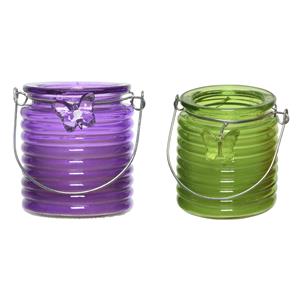 Decoris Set van 2x stuks citronella anti muggen kaarsen windlicht paars en groen 20 branduren