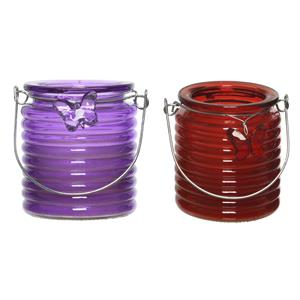 Decoris Set van 2x stuks citronella anti muggen kaarsen windlicht paars en rood 20 branduren