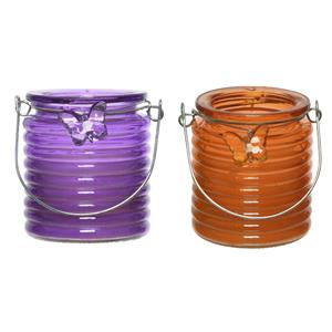 Decoris Set van 2x stuks citronella anti muggen kaarsen windlicht paars en oranje 20 branduren