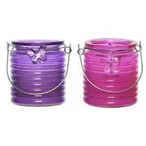 Decoris Set van 2x stuks citronella anti muggen kaarsen windlicht paars en roze 20 branduren