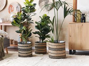 beliani Pflanzkorb Natürlich Seegras 3er Set Rund Handgeflochten mit Folie Verschiedene Höhen Boho Gartenaccessoires Gartenzubehör Gartendekoration - Beige